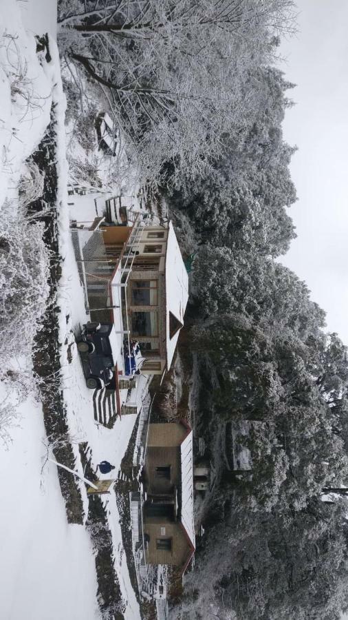 Simba Cafe & Lodge Binsar Eksteriør bilde